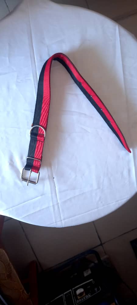 ADULT COLLAR BELT