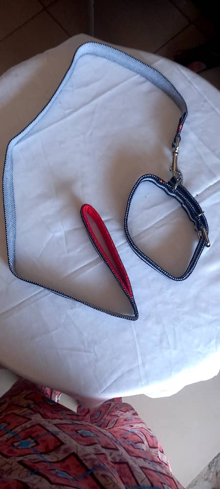 ADULT LEASH & COLLAR