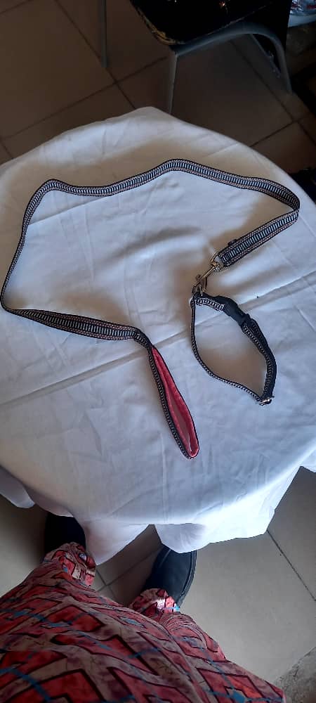MEDIUM LEASH & COLLAR