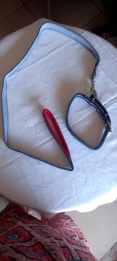 ADULT LEASH & COLLAR