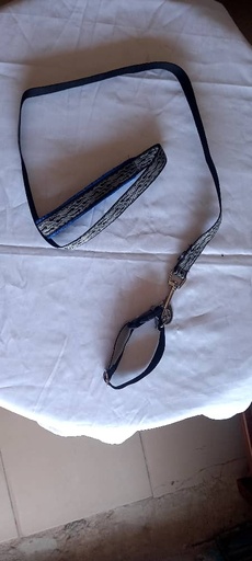 PUPPY LEASH & COLLAR